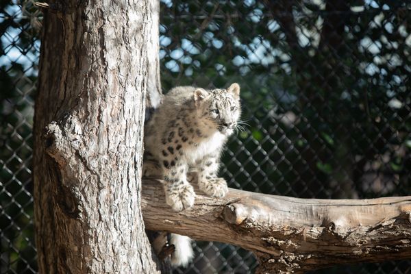 Super Simplified: Arts, resignations and a baby name