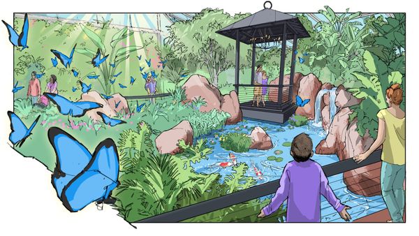 You can book your wedding in the new butterfly garden