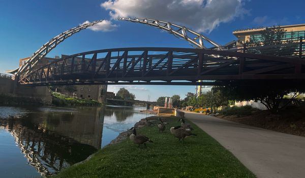 At-Large City Council candidates discuss public art