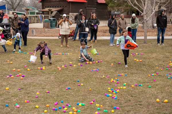 Simplified: School board, showtime and the hunt is on