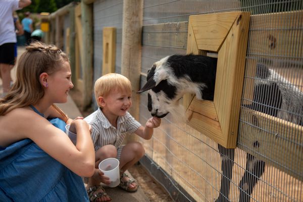 Get ready to kick off summer at this zoo event