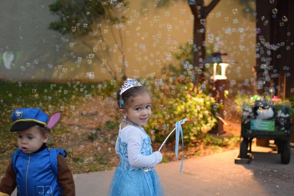 There's fun for everyone at the zoo this fall