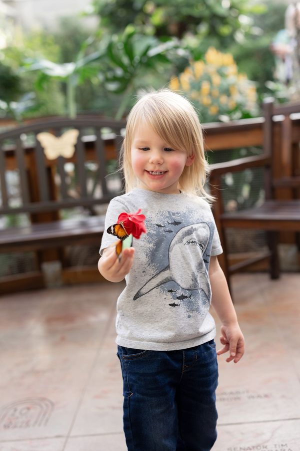 How your zoo membership is evolving amid Butterfly House transition