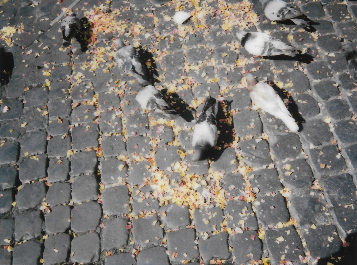 Stolpersteine: eine kartographie notwendiger schritte