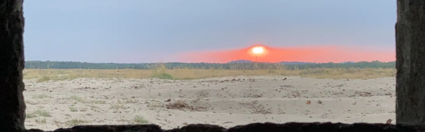 To see the world in the grain of sand