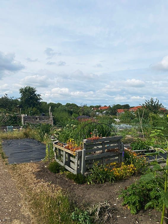 A verdant dispossession