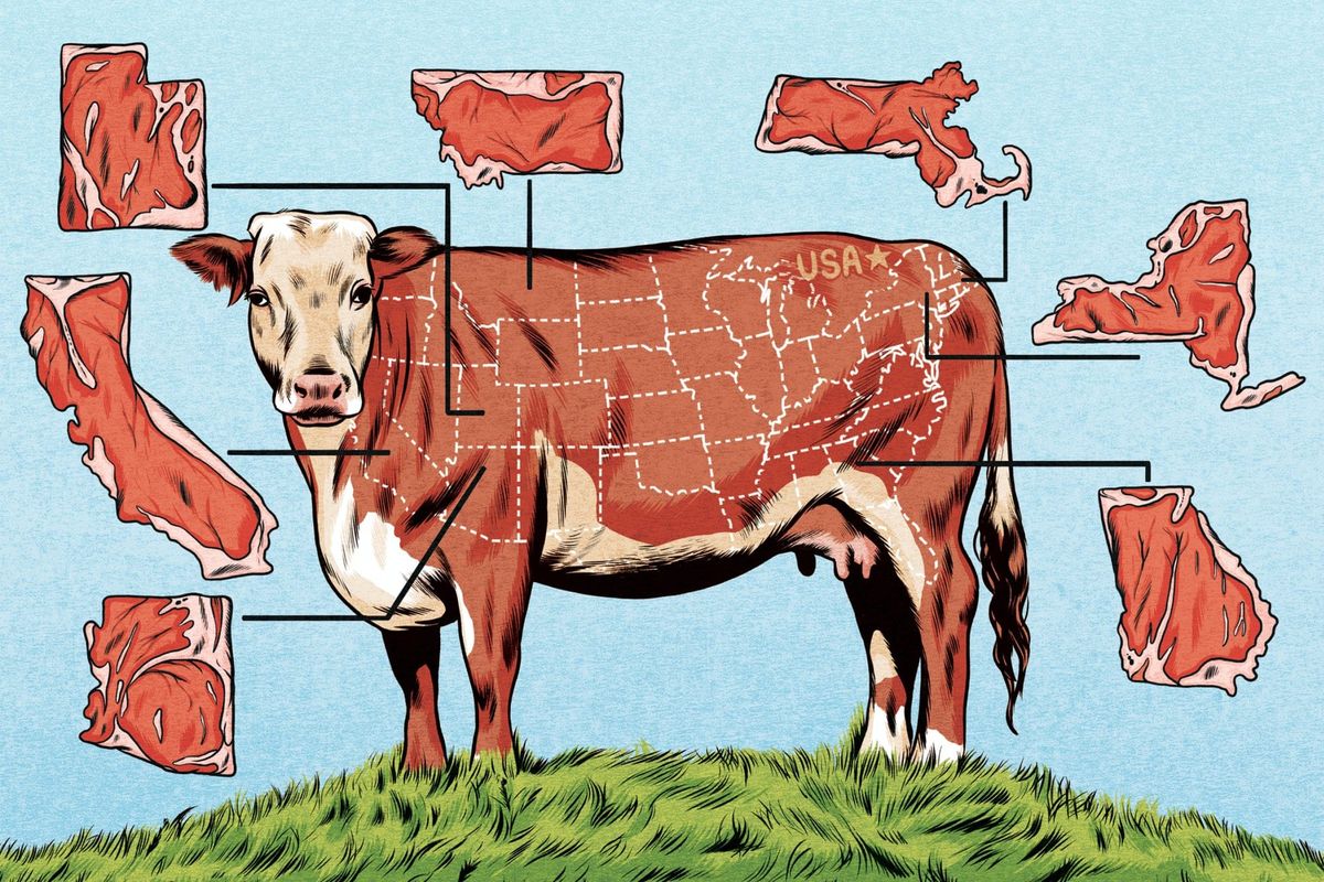 Fleisch steuer