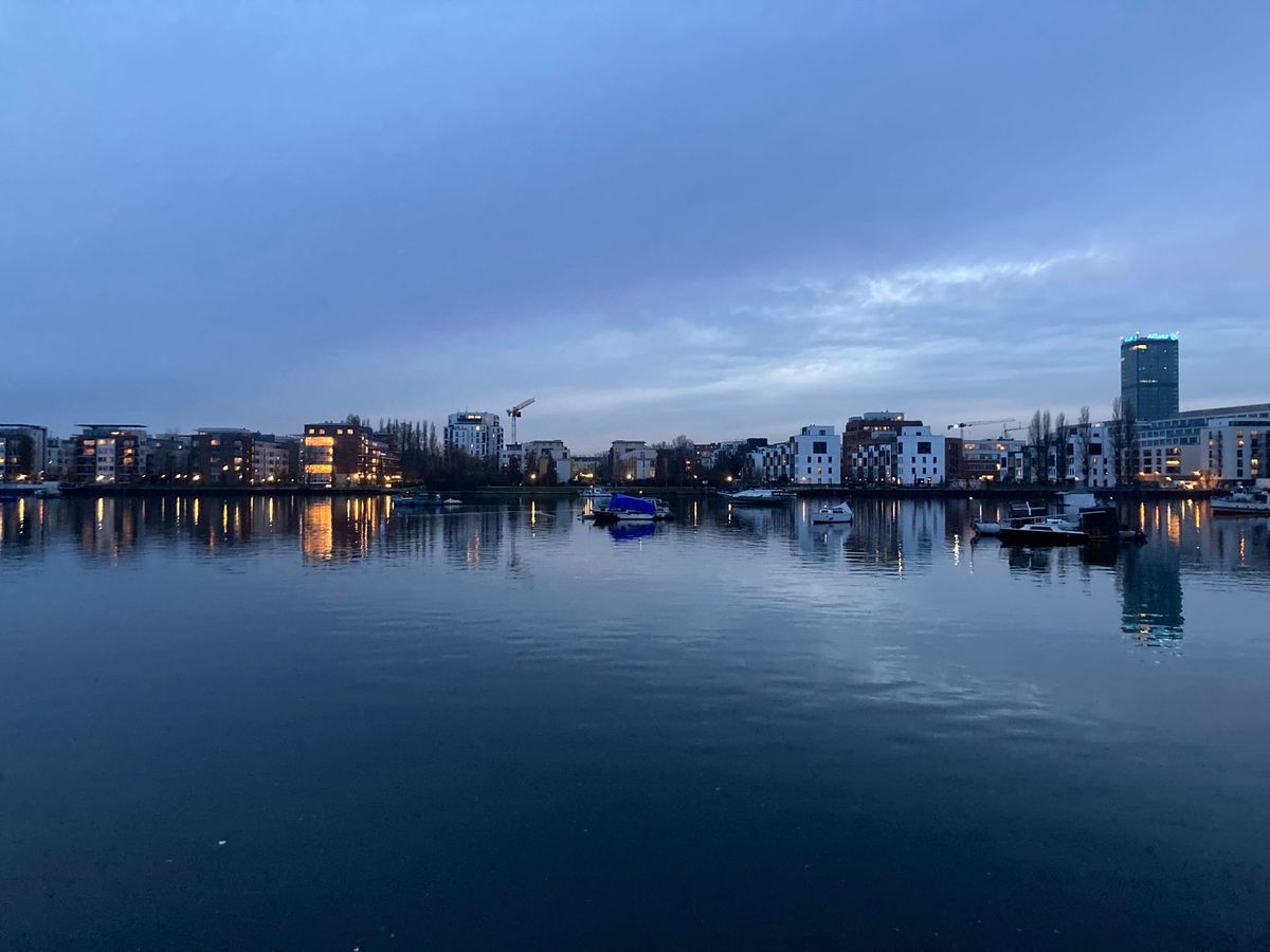 Notes on rummelsburg: mietendeckel, rats & dolphins