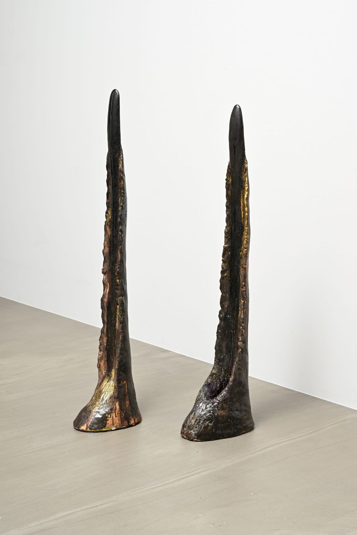 Curatorial insights
