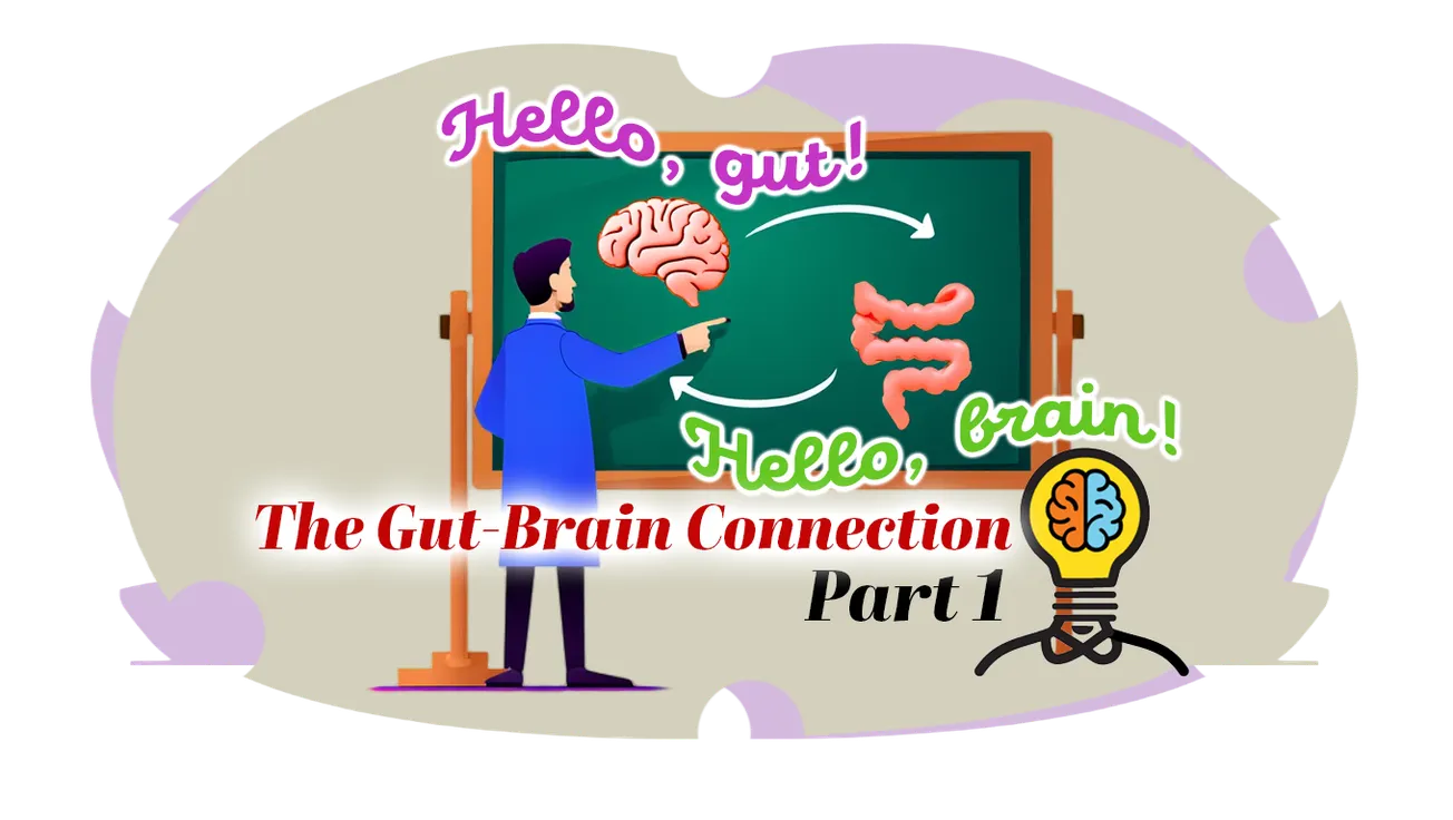 The Gut Trick: How a Simple Fiber Might Help an Aging Brain