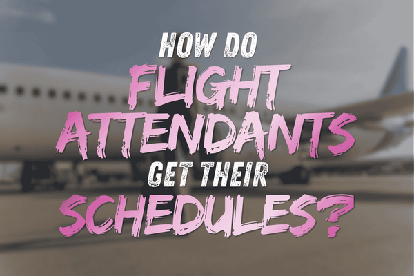 How Flight Attendants Get Their Assigned Schedules