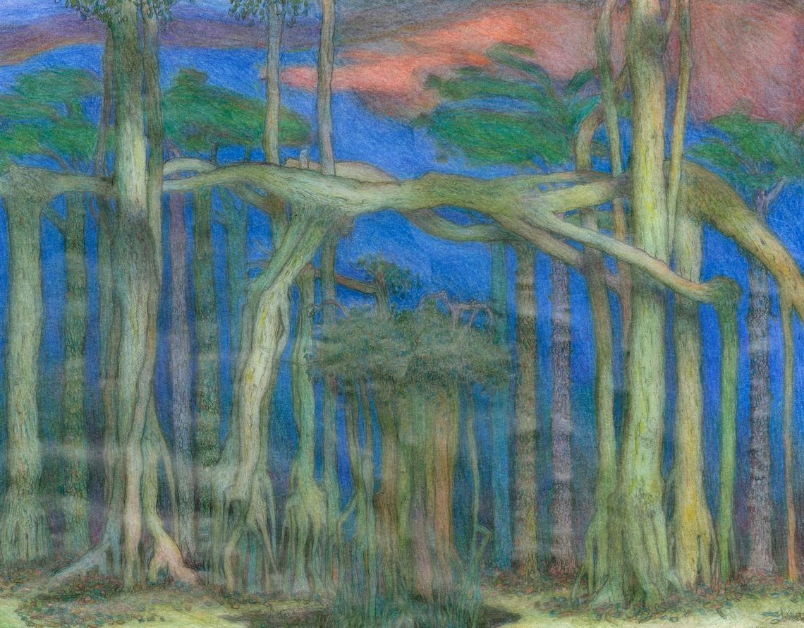 Into the Woods, pencil on paper
