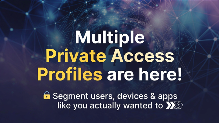 Multiple Traffic Forwarding Profiles for Private Access