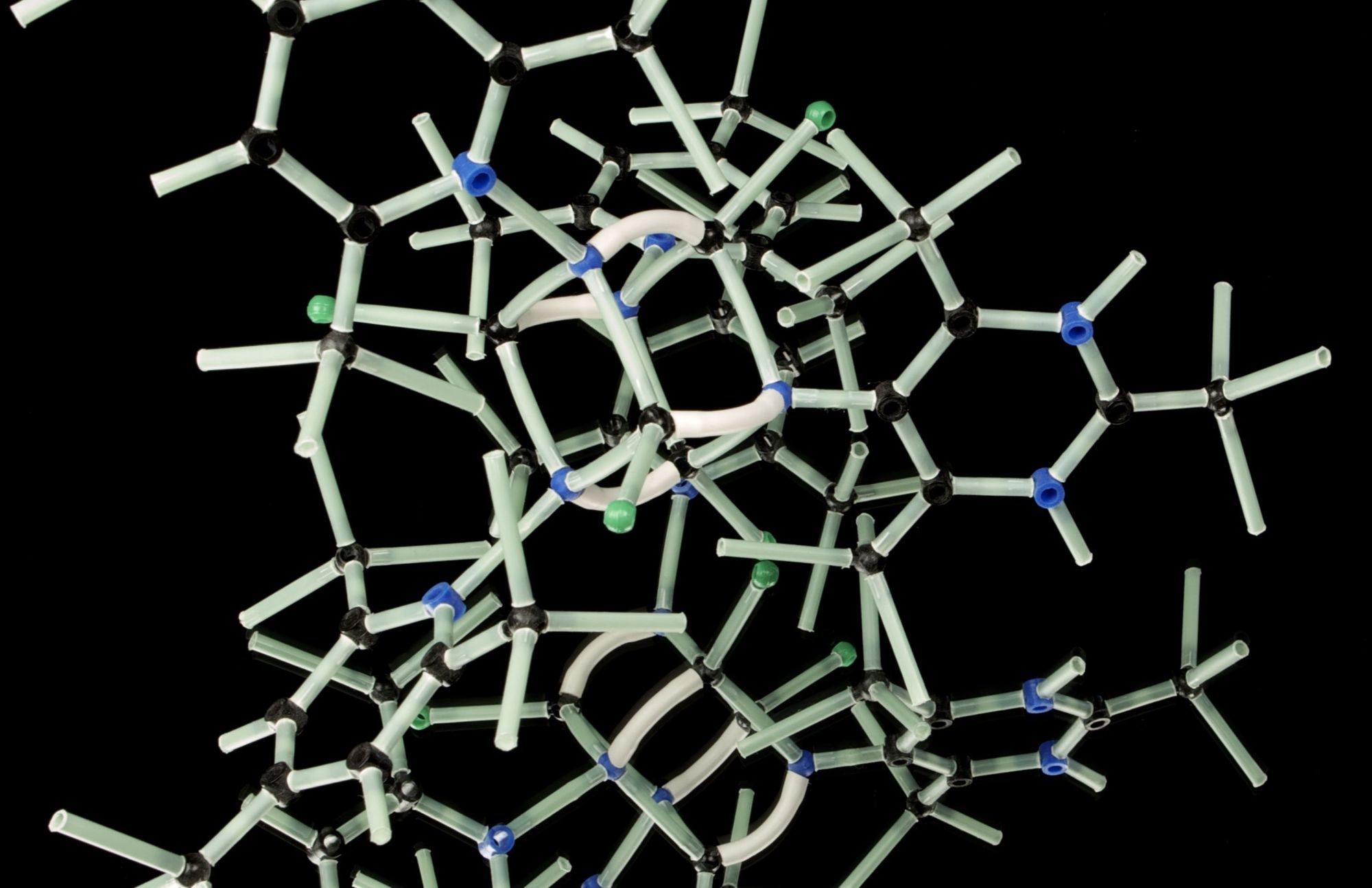 Beyond AlphaFold: How AI will Transform Biology in the 2020s