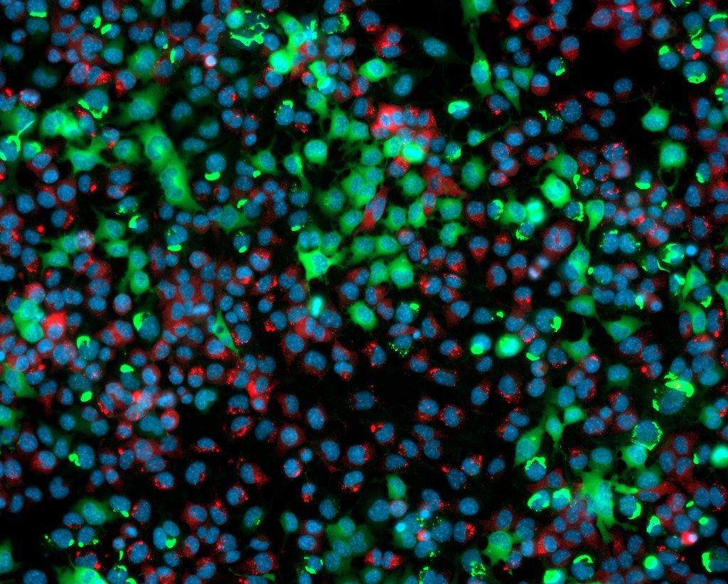 Open-source image analysis software for microscopy