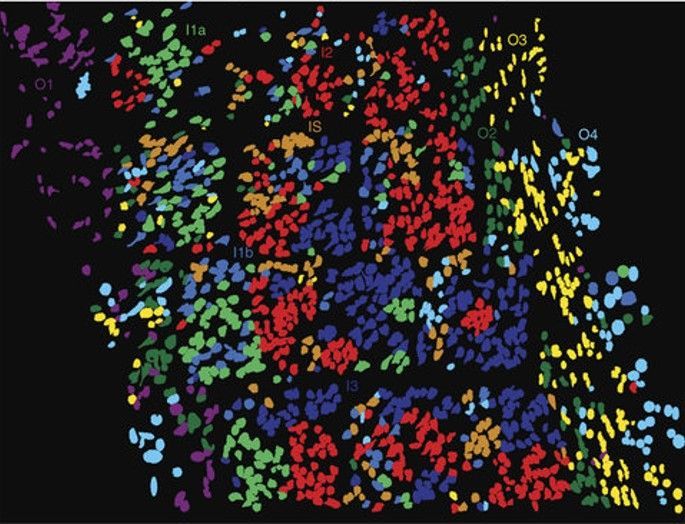 Putting the Pieces Together: Spatial Transcriptomics Methods and Multi-omic Integration