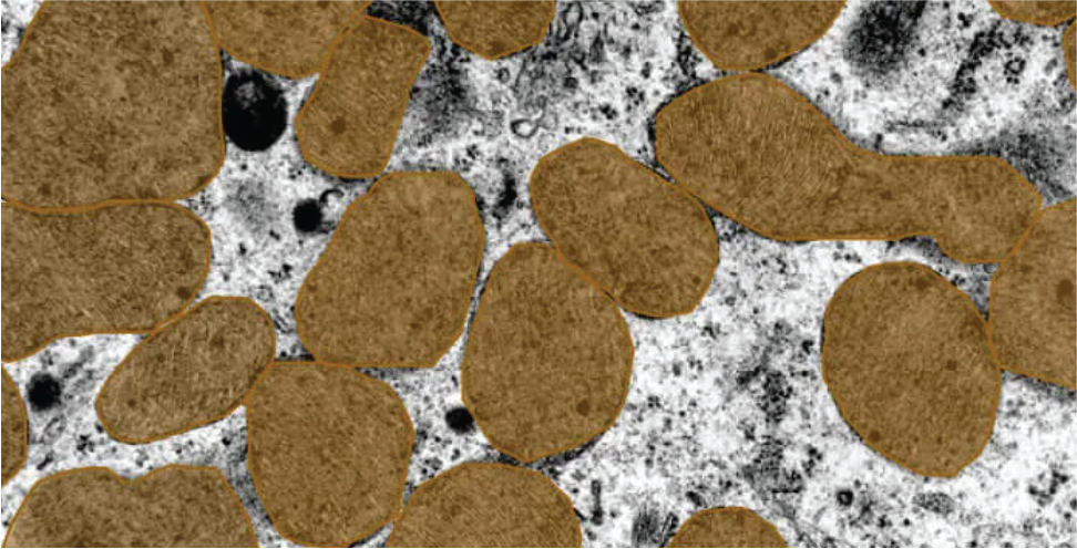 A Superficial Overview of Statistical Methods for Scientific Research