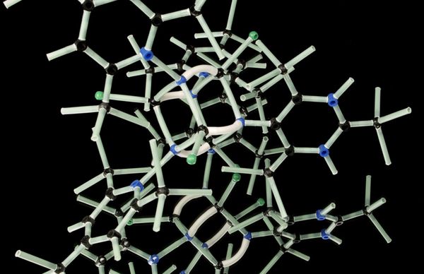 Beyond AlphaFold: How AI will Transform Biology in the 2020s