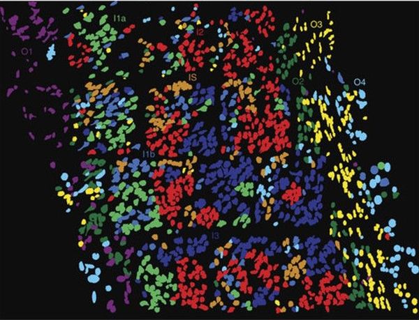 Putting the Pieces Together: Spatial Transcriptomics Methods and Multi-omic Integration