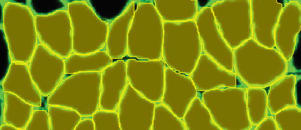 Using Biodock to do science: PhD candidate's experience