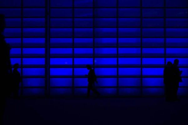 Questions on price elasticity of demand