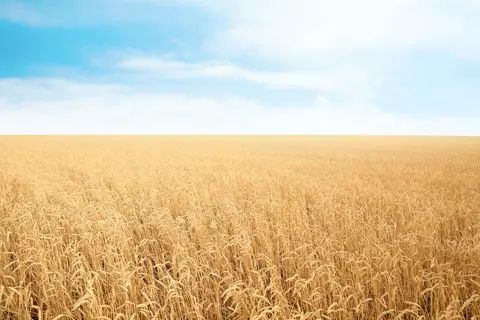 Questions on commodities