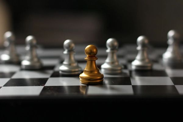 Case Study in First Mover Advantage: Domain Ownership