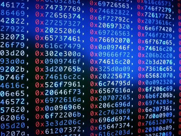 One Dataset, Many Insights: Maximizing Research Output in Economics