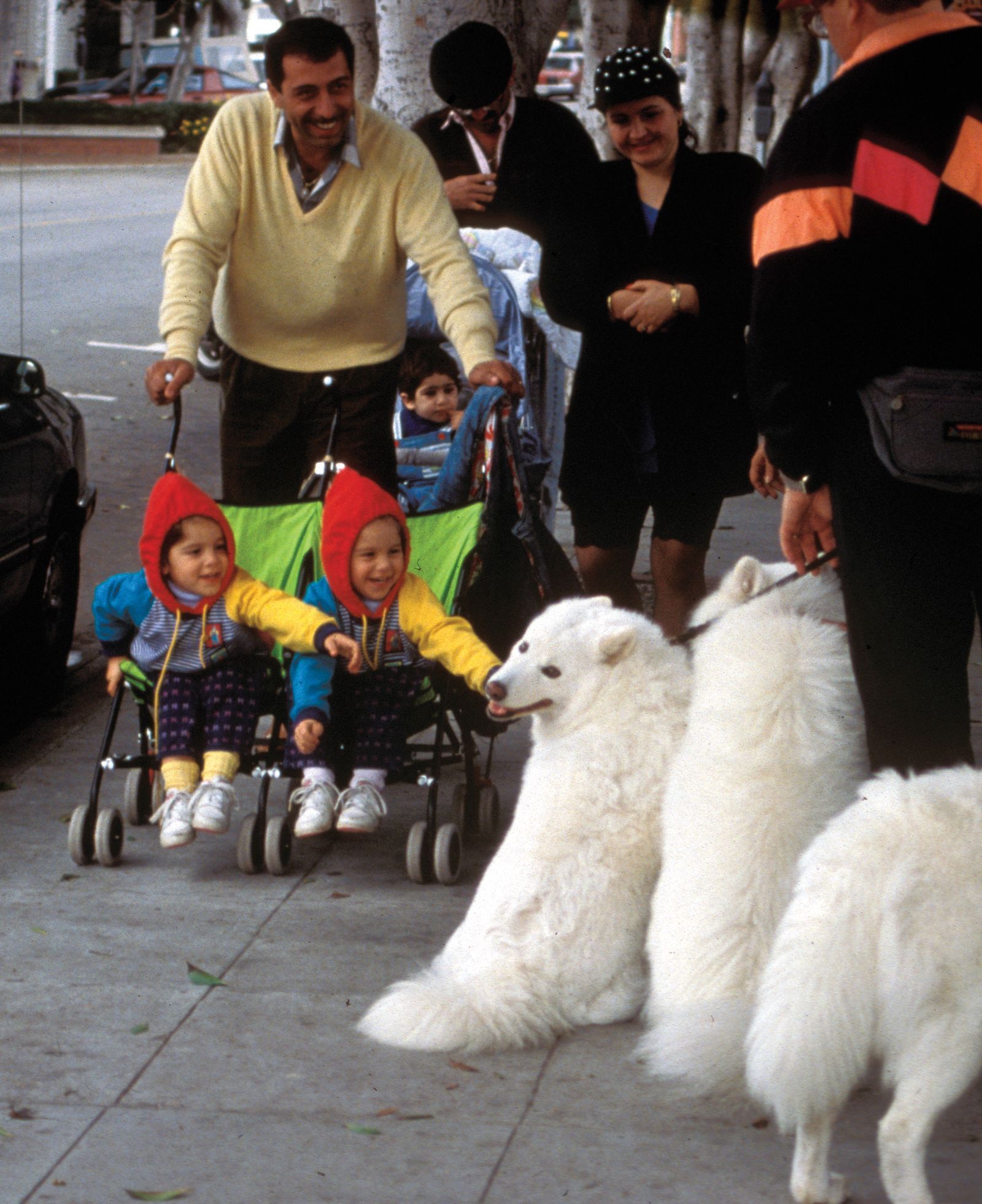 Pets: The Ultimate Social Connectors