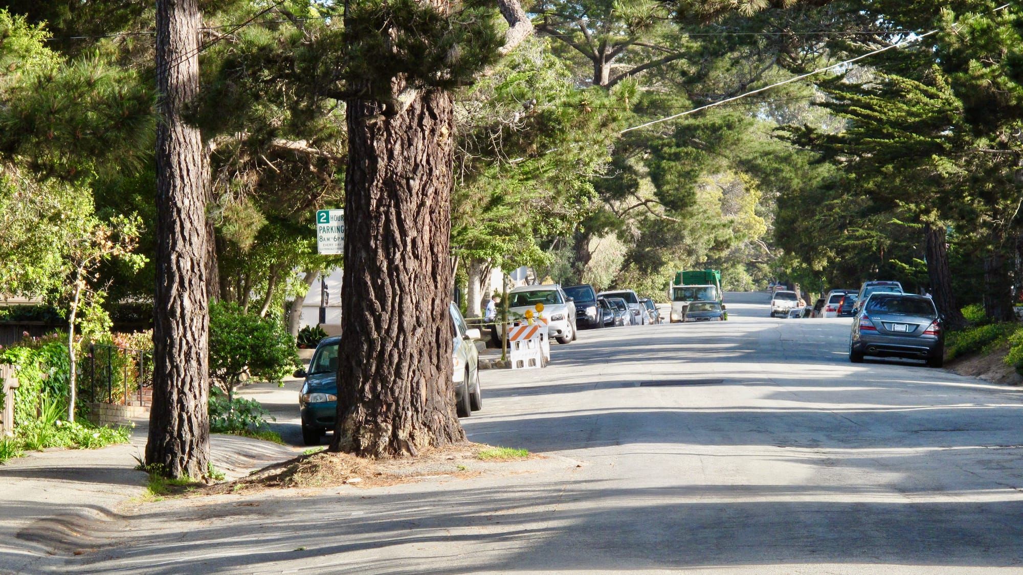 How Trees Can Support Placemaking - Integrating Nature and People into the Public Spaces in Carmel, California