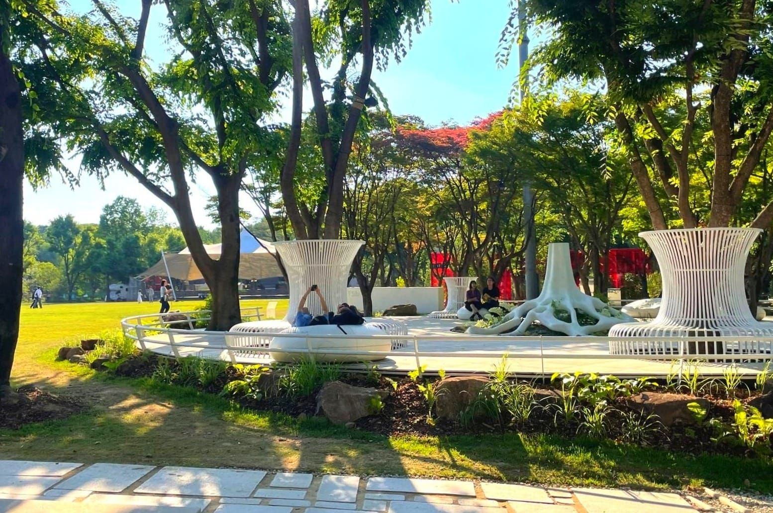 Plants vs. Place: Leveraging Landscaping for Better Public Spaces