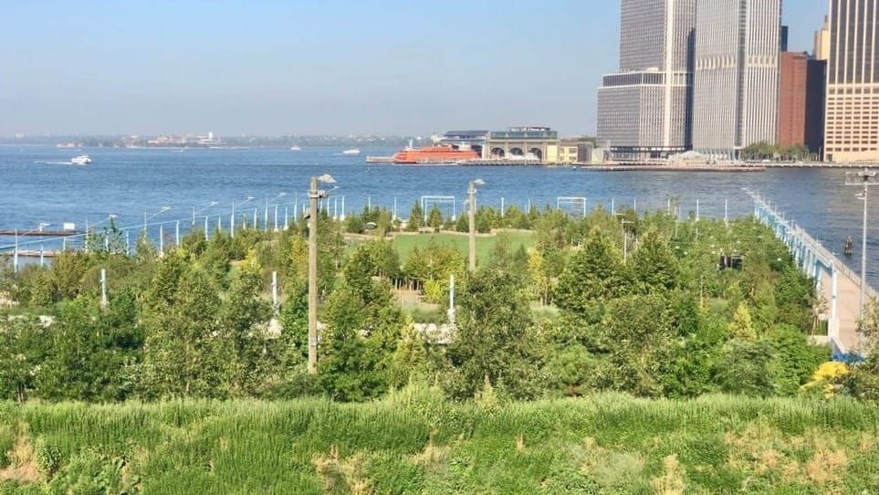 Plants vs. Place: Leveraging Landscaping for Better Public Spaces
