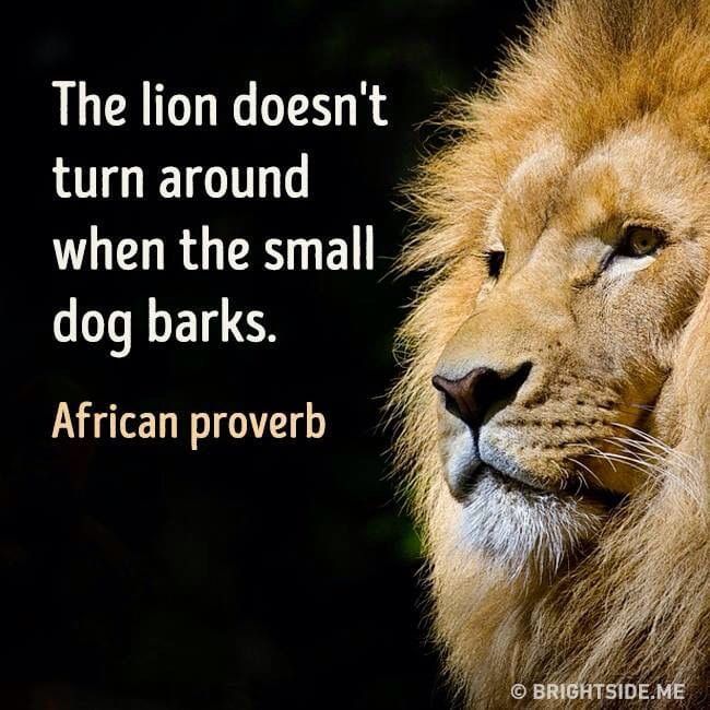The Lion and the Noise: Holding the Line When it Matters Most