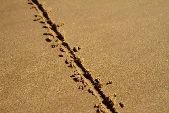 The Line In The Sand, Must Move!