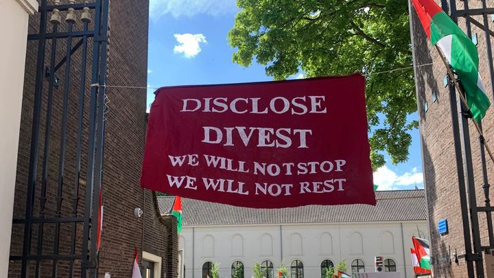 🌷 Finding My Feet in the Springtime