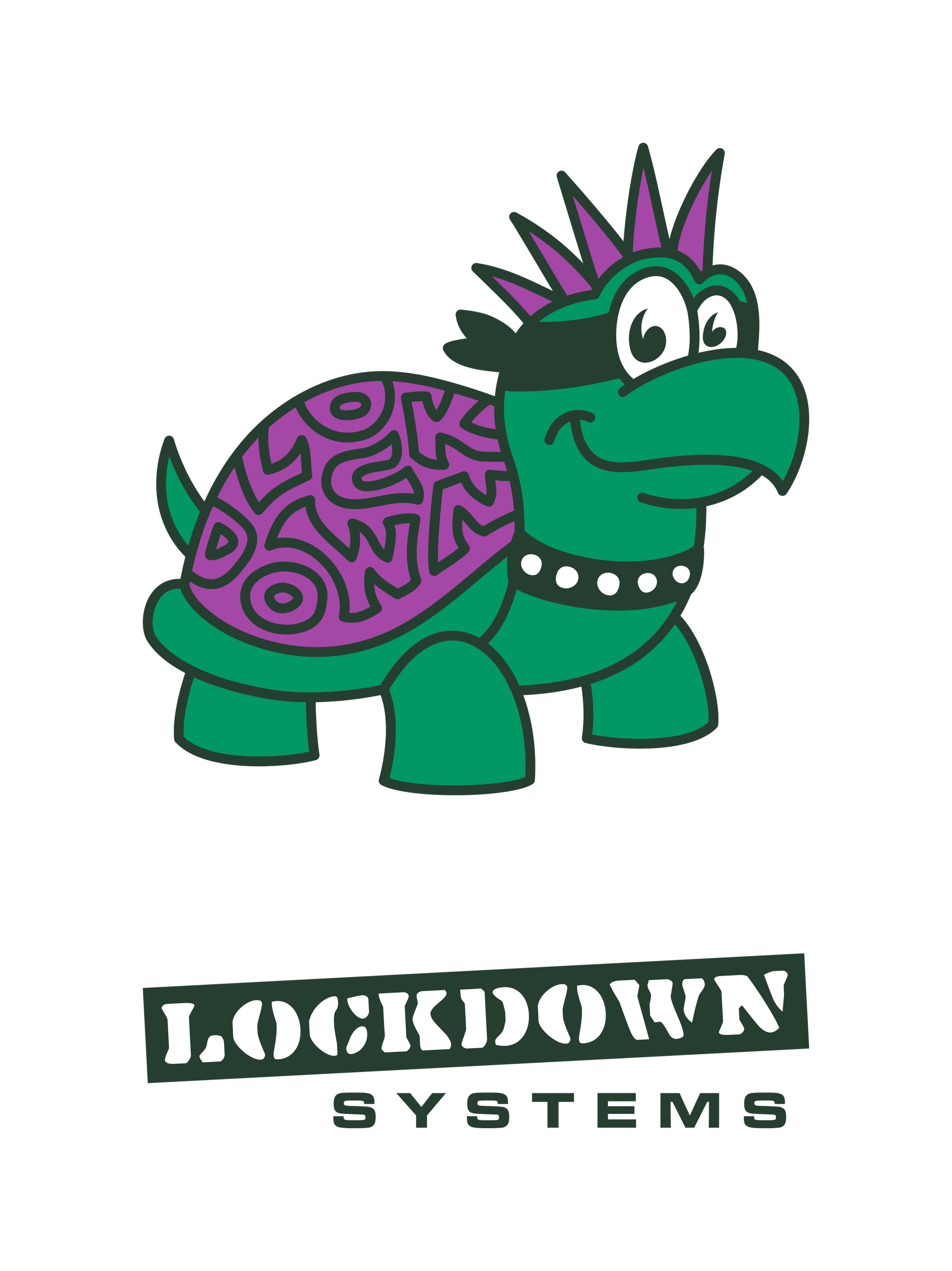 Cartoon green turtle with a purple shell and a purple mohawk hairstyle wearing a bandanna. Letters on the shell spell the word "Lockdown". The words "Lockdown Systems" are under the logo.