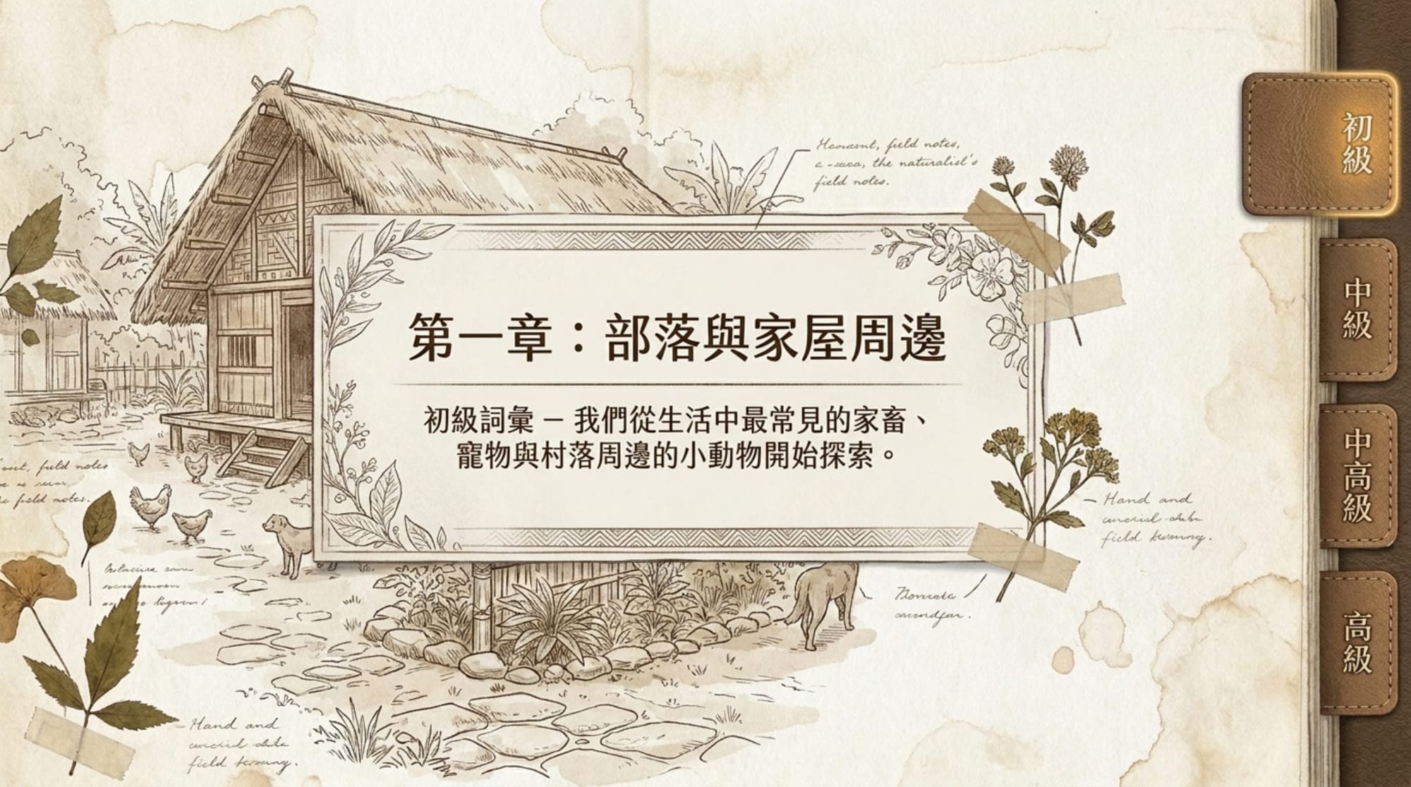動物詞彙簡報 第 3 頁