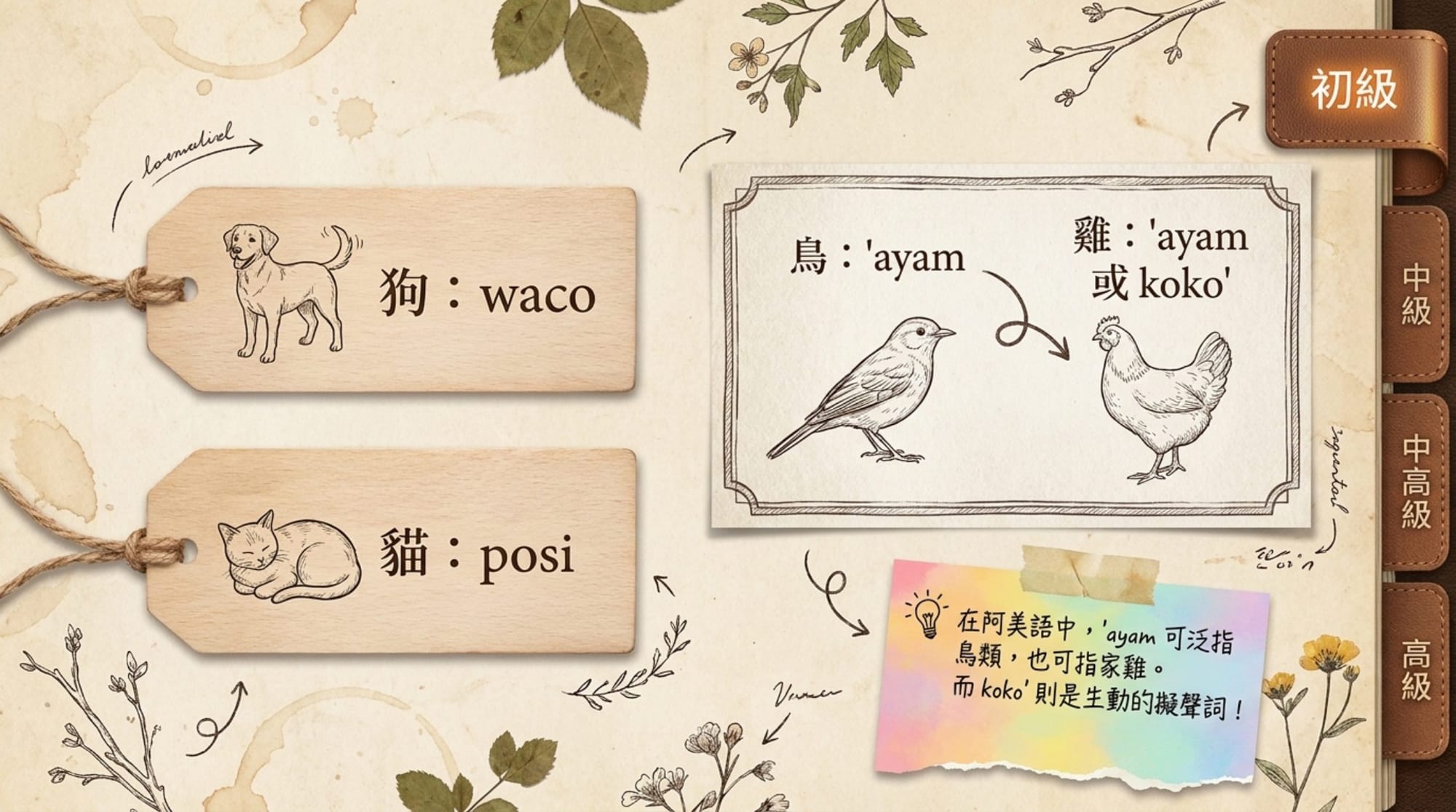 動物詞彙簡報 第 5 頁