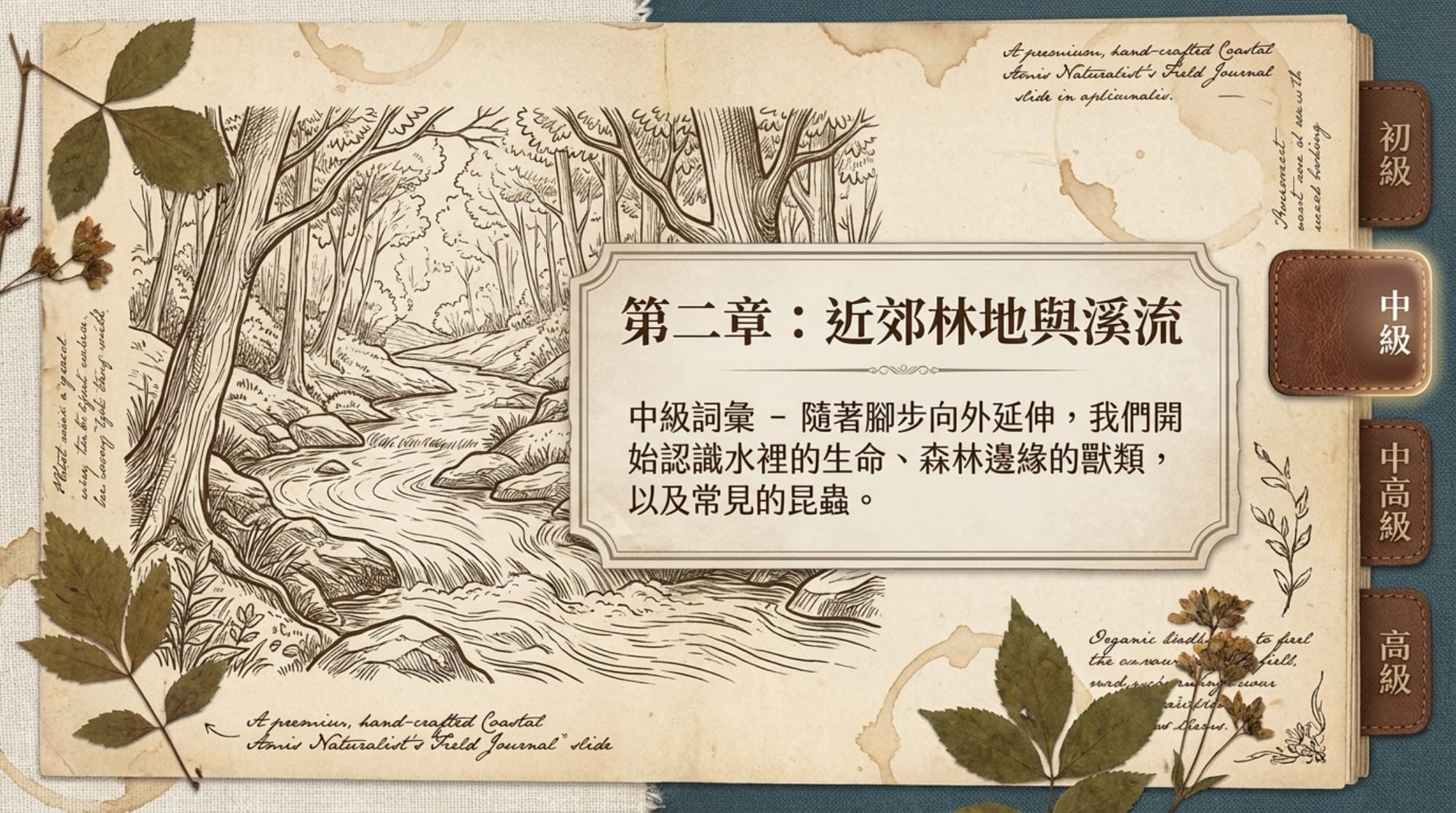 動物詞彙簡報 第 7 頁
