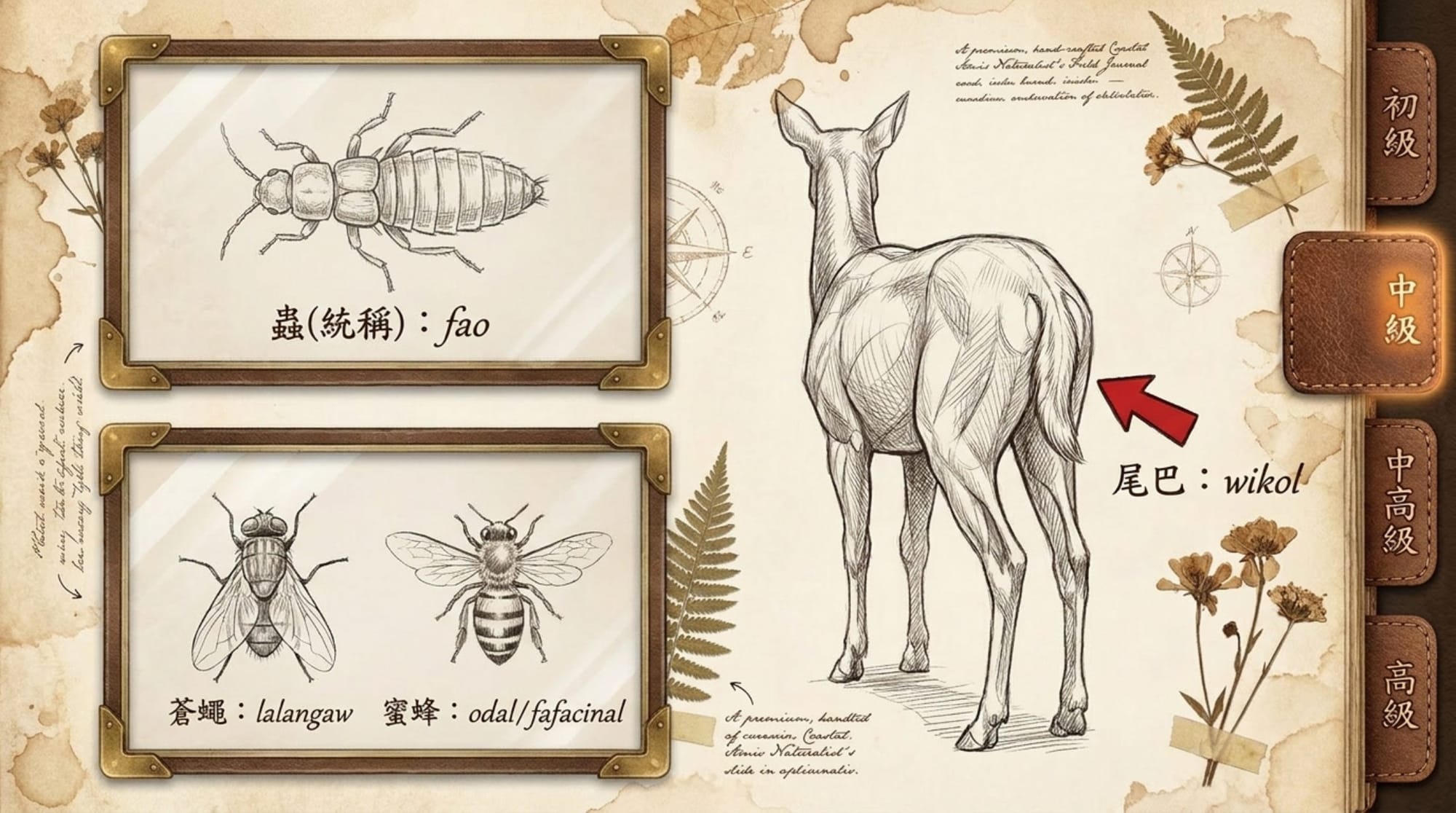 動物詞彙簡報 第 9 頁