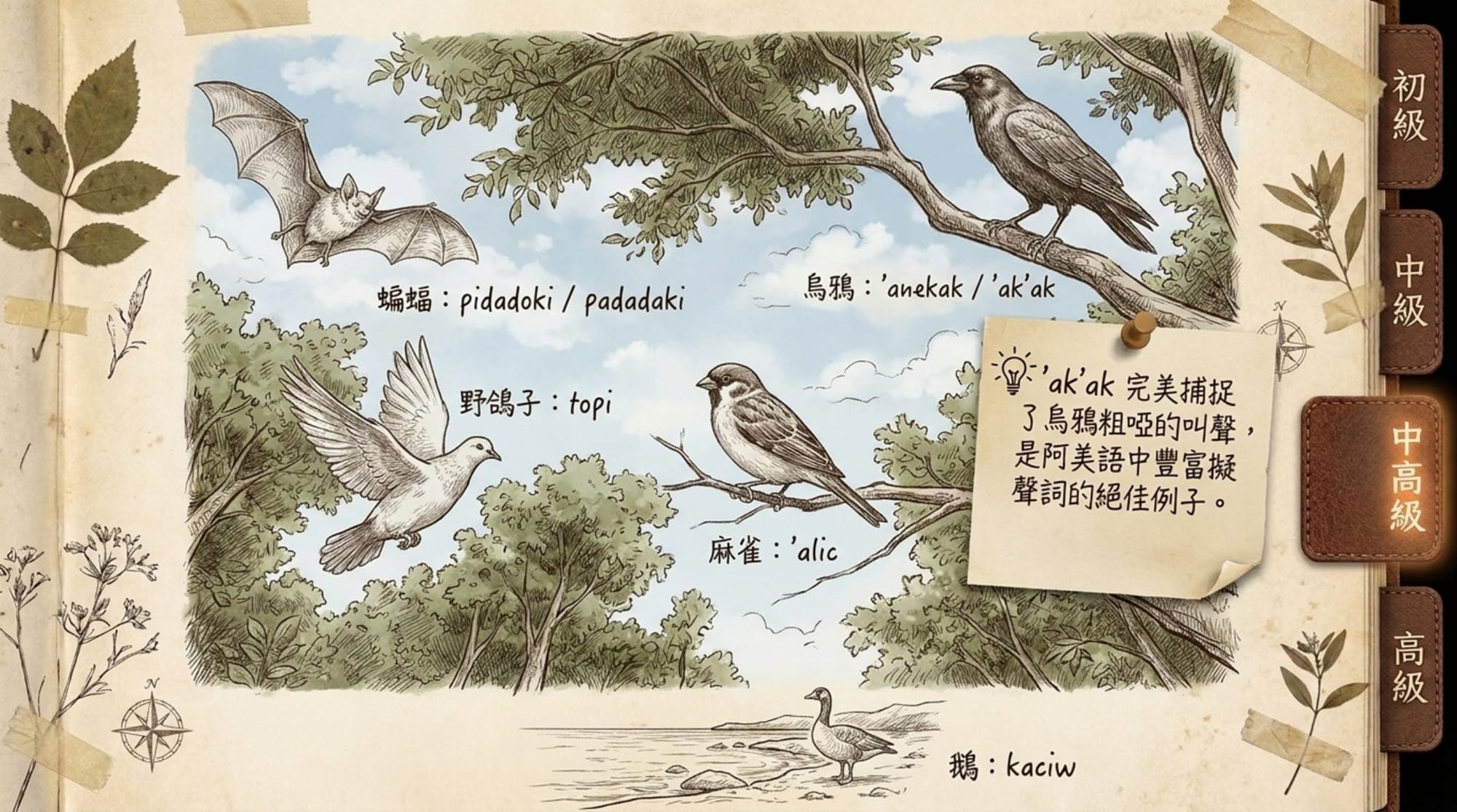 動物詞彙簡報 第 13 頁
