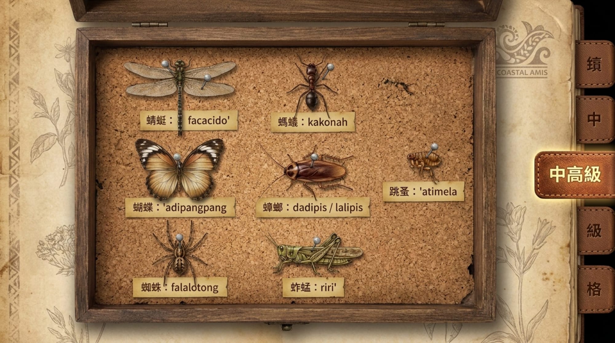動物詞彙簡報 第 14 頁