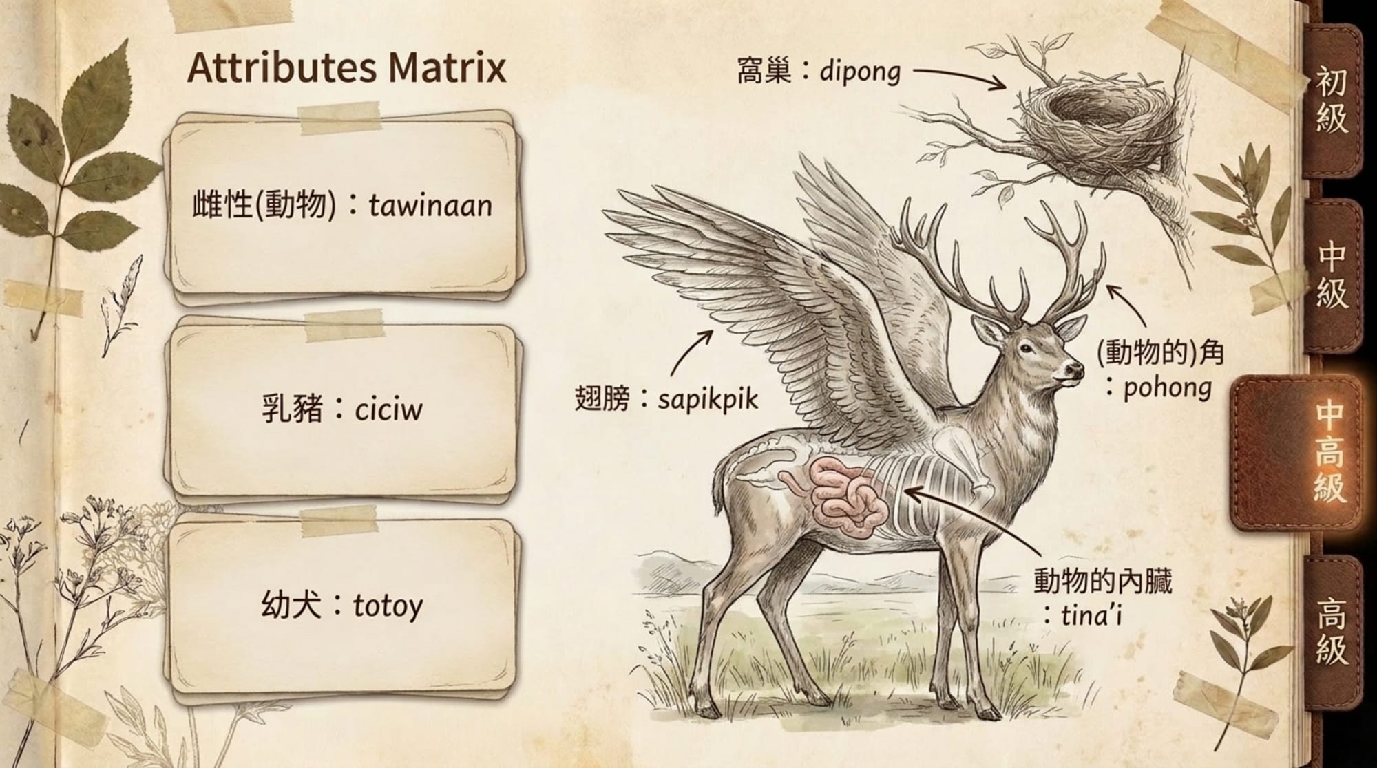 動物詞彙簡報 第 15 頁