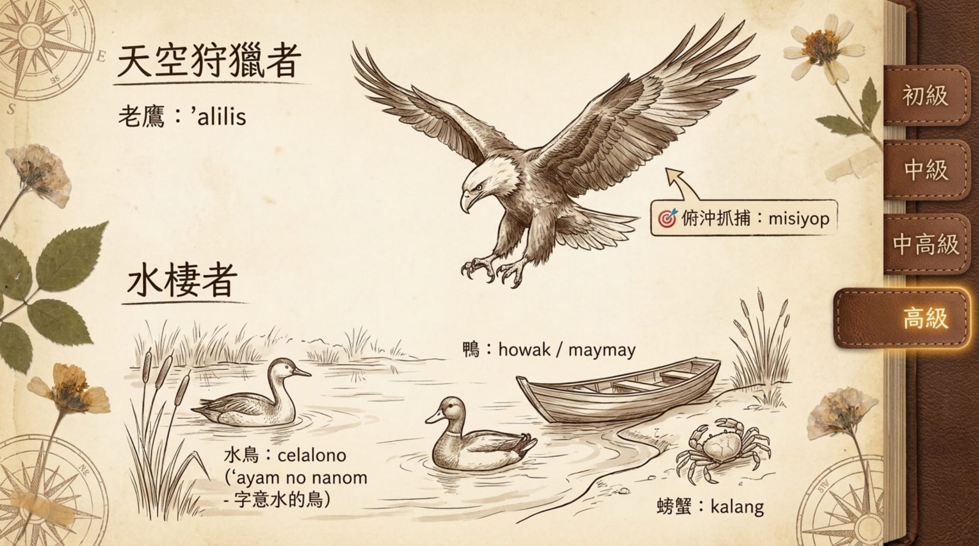 動物詞彙簡報 第 17 頁