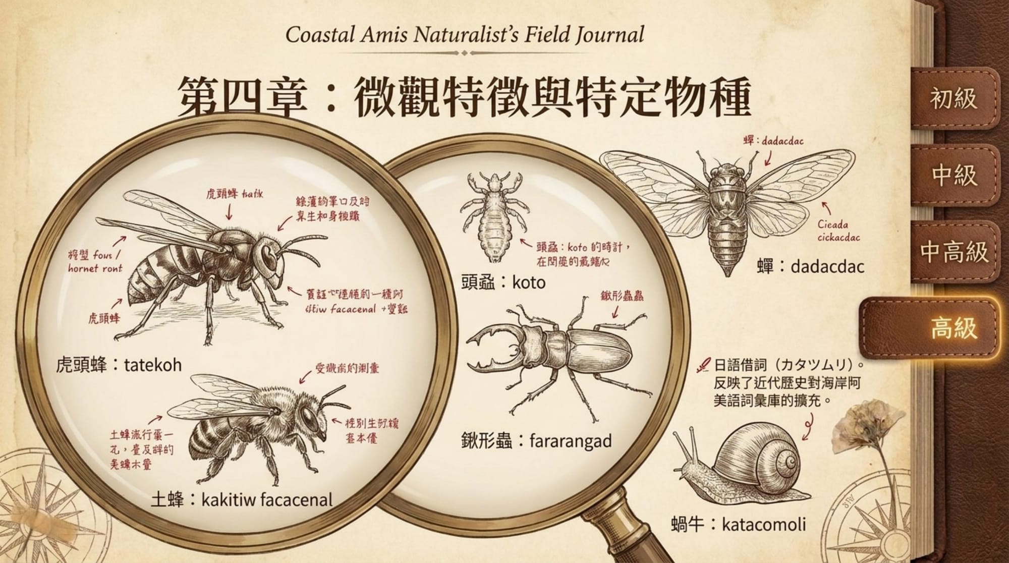 動物詞彙簡報 第 18 頁