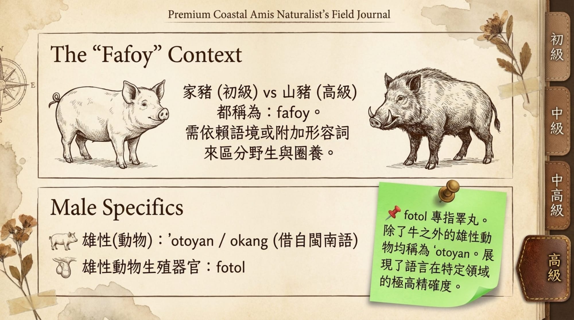 動物詞彙簡報 第 19 頁