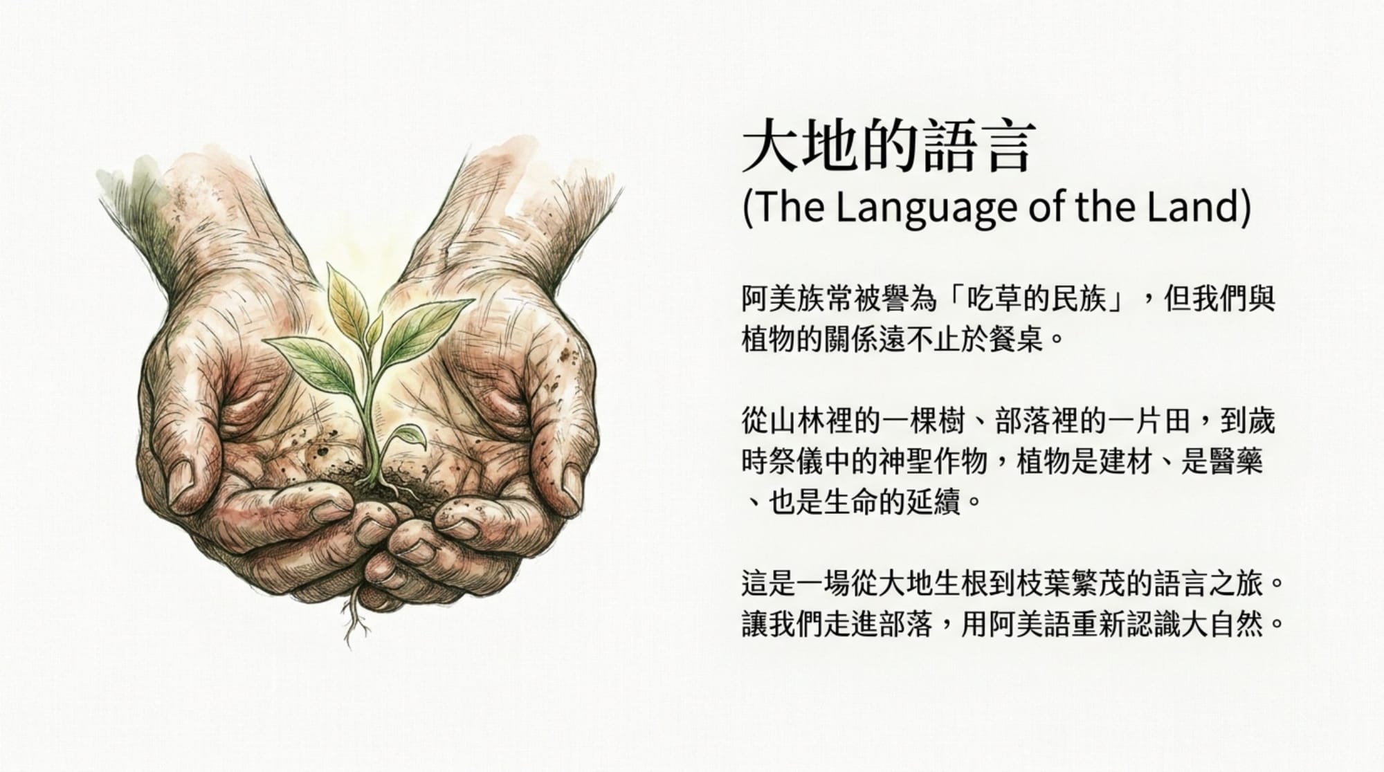 植物詞彙簡報 第 2 頁