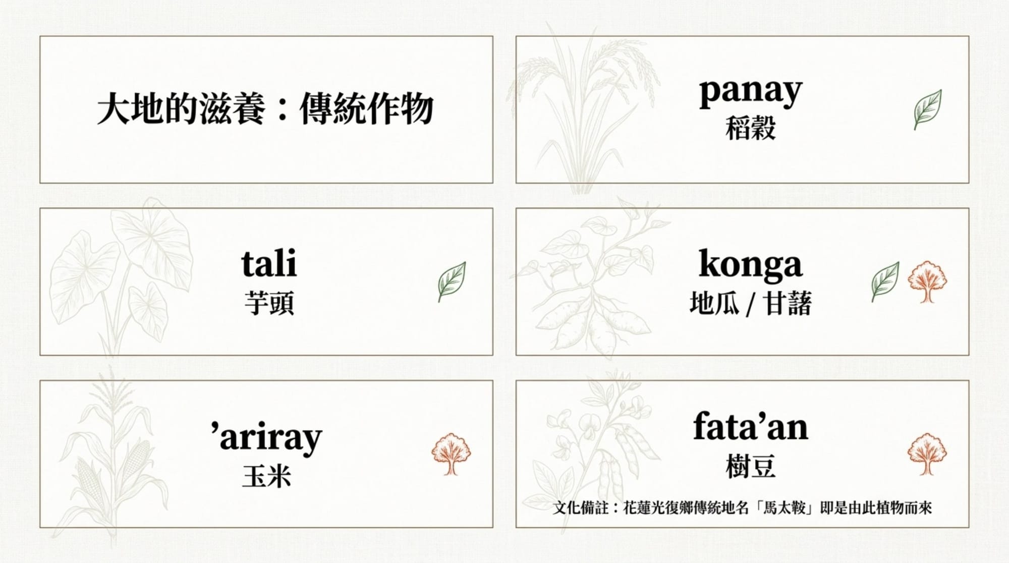 植物詞彙簡報 第 5 頁