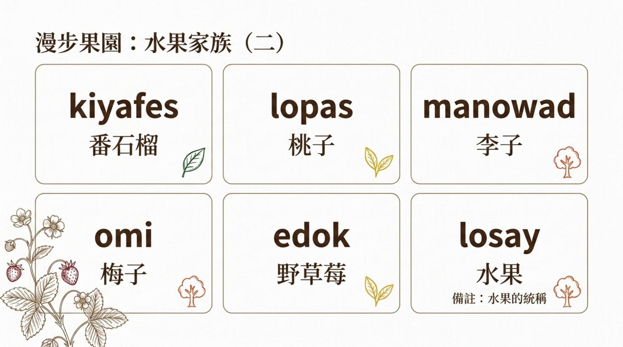 植物詞彙簡報 第 7 頁