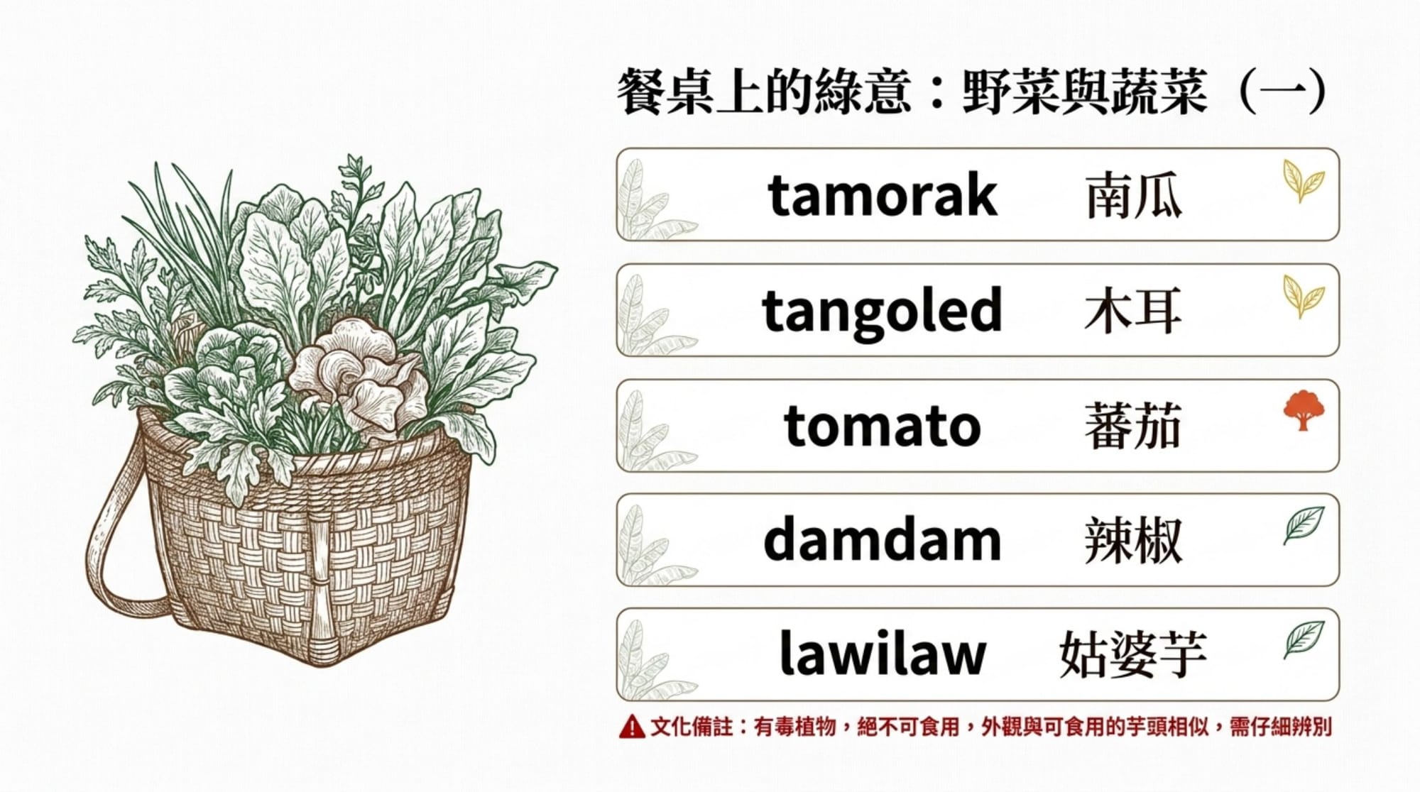 植物詞彙簡報 第 8 頁